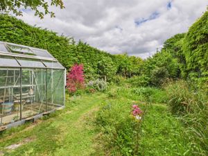 Garden- click for photo gallery